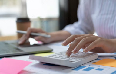 accounting and professional services